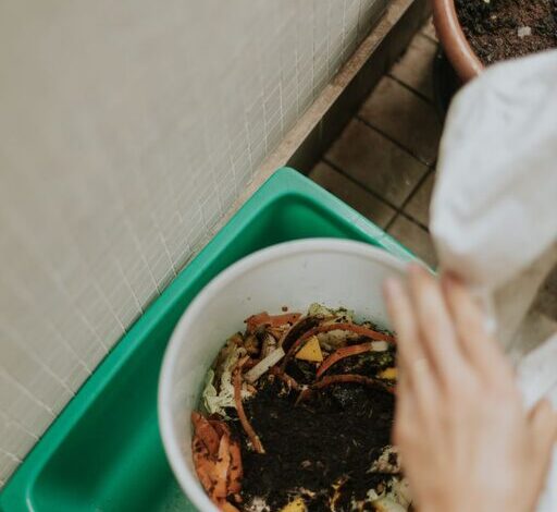 Beginner Tips for Composting at Home: A Simple Guide to Start