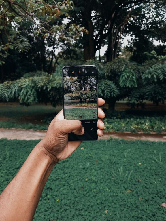 Beginner Tips for Taking Better Phone Photos Every Time